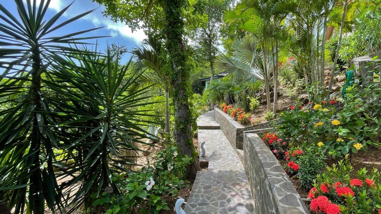 מלון פורט אליזבת' Tropical Hideaway מראה חיצוני תמונה