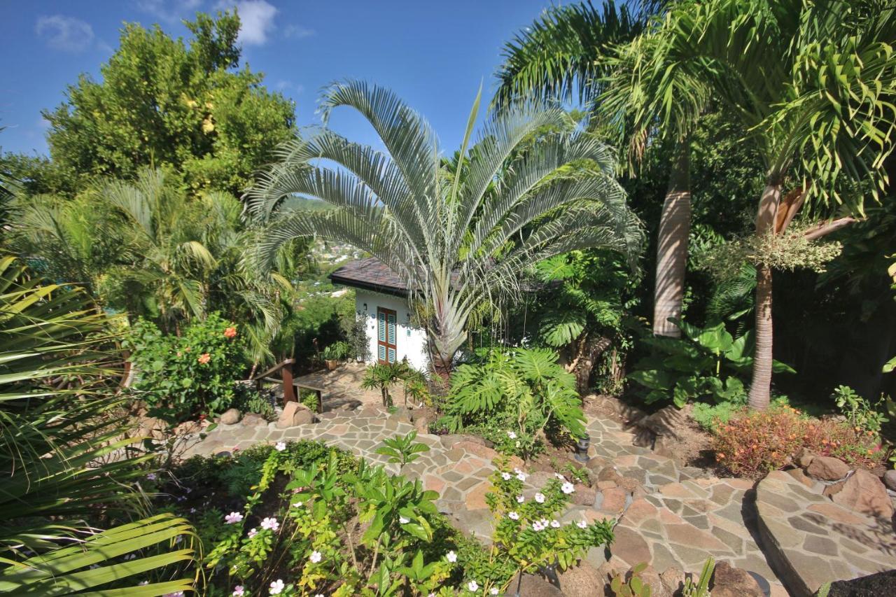 מלון פורט אליזבת' Tropical Hideaway מראה חיצוני תמונה