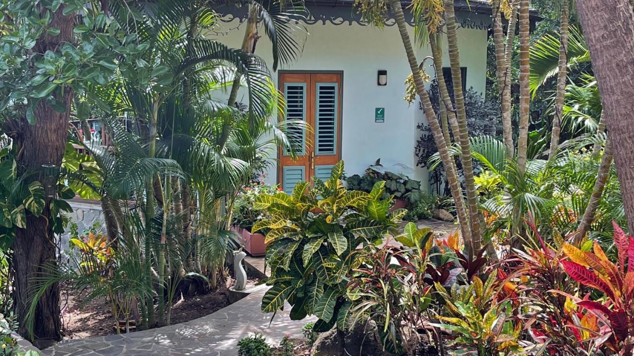 מלון פורט אליזבת' Tropical Hideaway מראה חיצוני תמונה