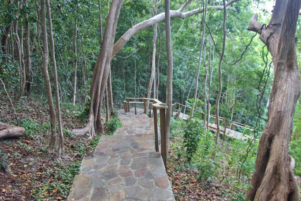מלון פורט אליזבת' Tropical Hideaway מראה חיצוני תמונה