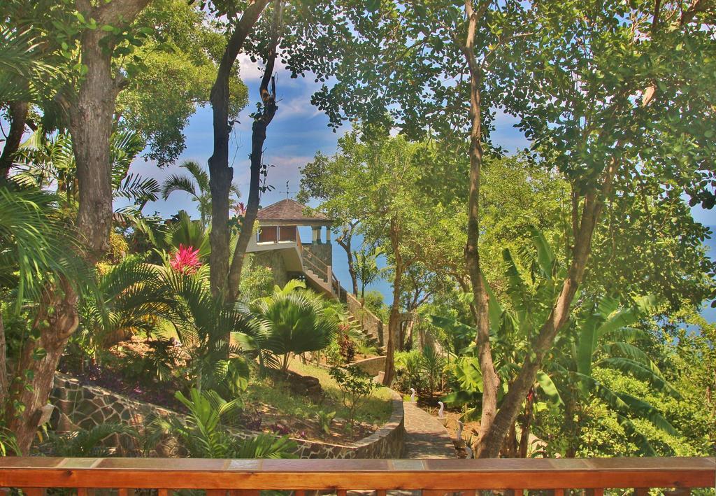 מלון פורט אליזבת' Tropical Hideaway מראה חיצוני תמונה