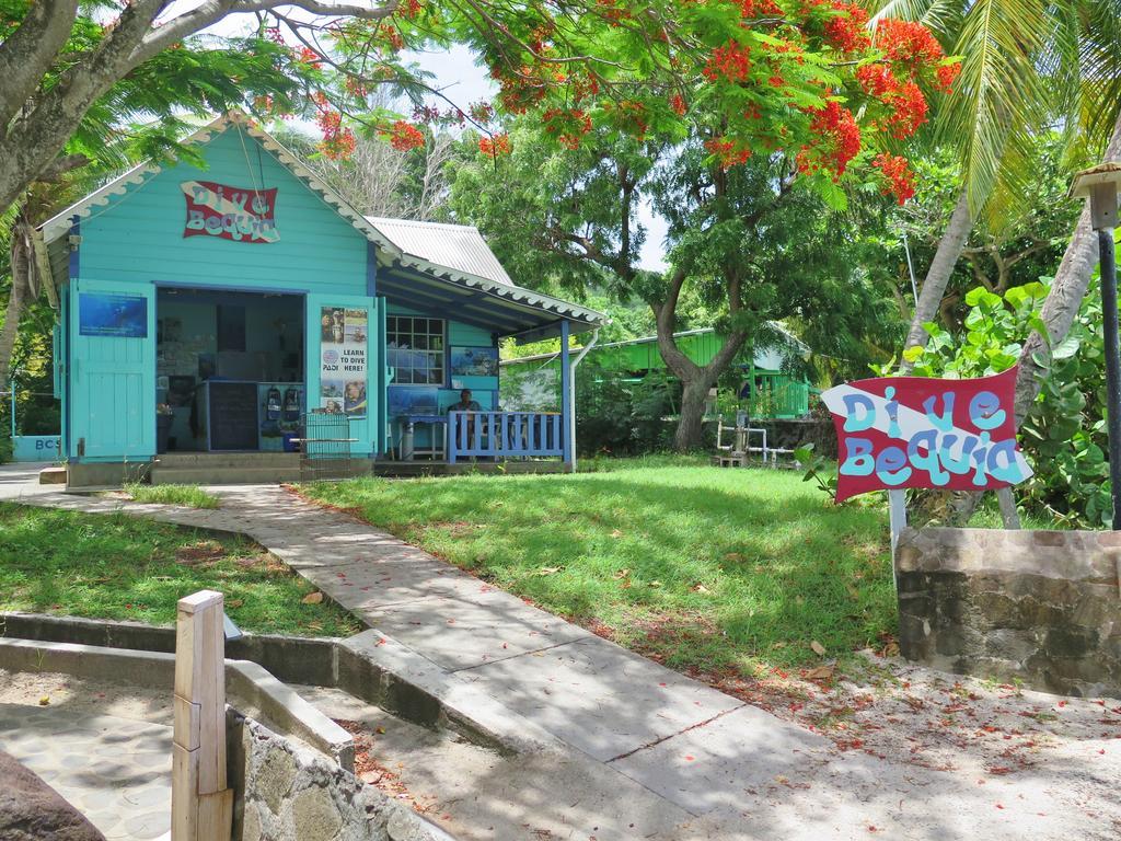 מלון פורט אליזבת' Tropical Hideaway מראה חיצוני תמונה
