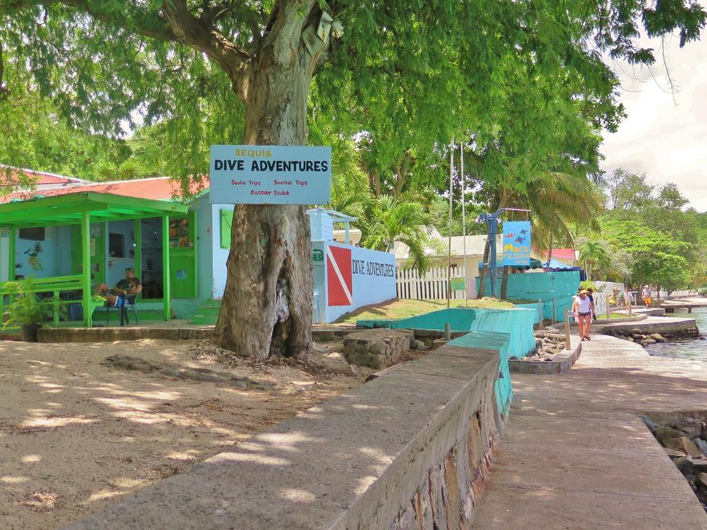 מלון פורט אליזבת' Tropical Hideaway מראה חיצוני תמונה